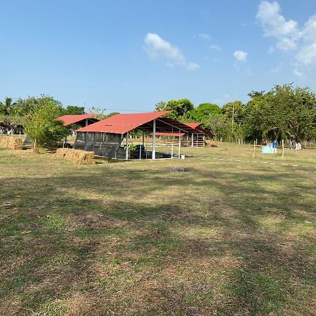 Hotel - Granja De Animales San Basilio De Palenque San Basilio del Palenque Ngoại thất bức ảnh