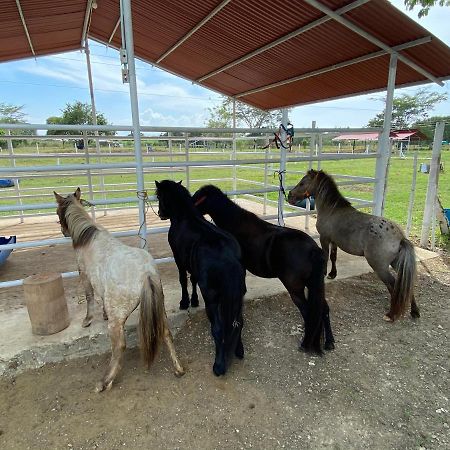 Hotel - Granja De Animales San Basilio De Palenque San Basilio del Palenque Ngoại thất bức ảnh