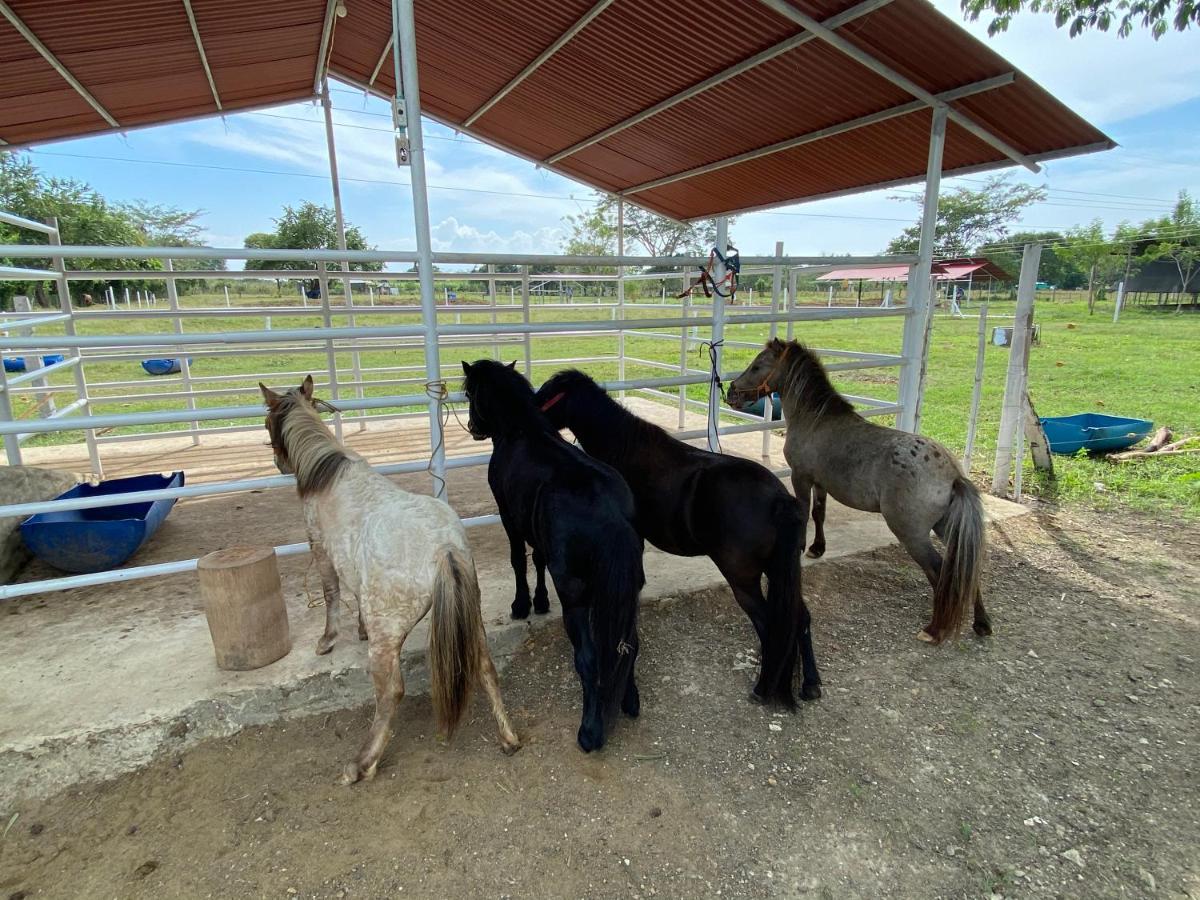 Hotel - Granja De Animales San Basilio De Palenque San Basilio del Palenque Ngoại thất bức ảnh