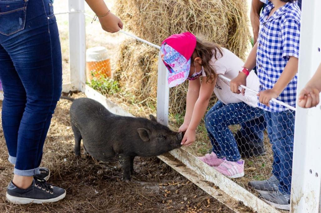 Hotel - Granja De Animales San Basilio De Palenque San Basilio del Palenque Ngoại thất bức ảnh