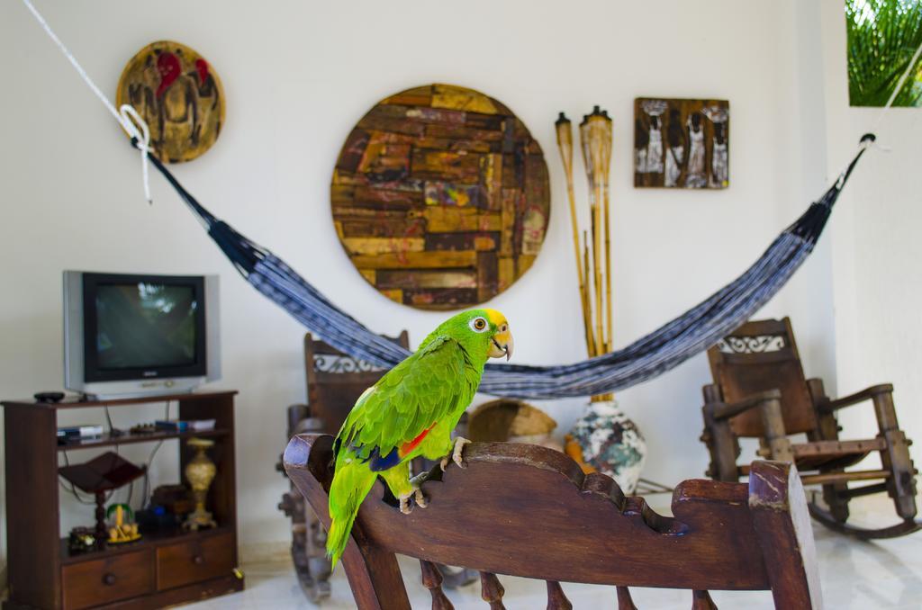 Hotel - Granja De Animales San Basilio De Palenque San Basilio del Palenque Ngoại thất bức ảnh